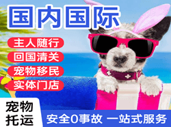 三亚凤凰航空货运国际宠物托运 【国